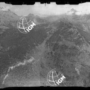 "Staz. S (?) - Val Malenco: Zona Alpe Fora, Pizzo Tre Moggie - Località presa: non rinvenuta" - LN00014100