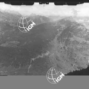 "Staz. S (?) - Val Malenco: Zona Alpe Fora, Pizzo Tre Moggie - Località presa: non rinvenuta" - LN00014102