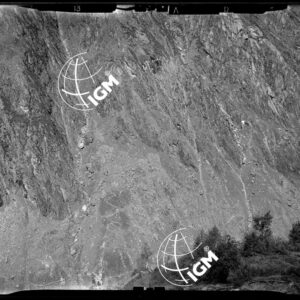 Staz. 13 - Val Malenco: 13 bis versante destro di Val di Togno - Località presa: a O. C. Mara - LN00014442