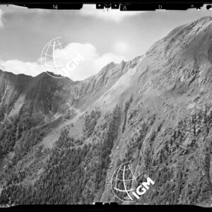 Staz. 14 - Val Malenco: versante E. di Val di Togno - Località presa: Val di Togno - LN00014451