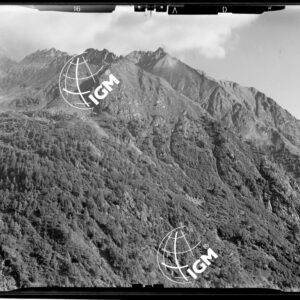 Staz. 14 - Val Malenco: versante E. di Val di Togno - Località presa: Val di Togno - LN00014457