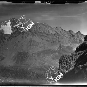 Staz. 22 - Val Malenco: M. Disgrazia - Località presa: M. Areaglio - LN00014494