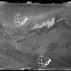 Staz. 22 - Val Malenco: M. Disgrazia - Località presa: M. Areaglio - LN00014495