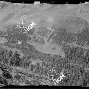 Staz. 26 - Val Malenco: Versante E. Val Toneggio - Località presa: Nord Chiesa Valdiraglio - LN00014512