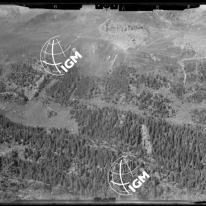 Staz. 26 - Val Malenco: Versante E. Val Toneggio - Località presa: Nord Chiesa Valdiraglio - LN00014513