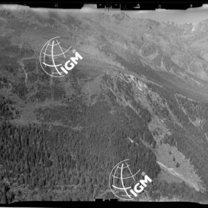 Staz. 26 - Val Malenco: Versante E. Val Toneggio - Località presa: Nord Chiesa Valdiraglio - LN00014514