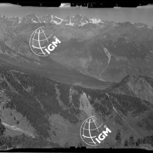 Staz. 26 - Val Malenco: Versante E. Val Toneggio - Località presa: Nord Chiesa Valdiraglio - LN00014515