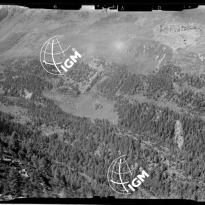 Staz. 26 - Val Malenco: Versante E. Val Toneggio - Località presa: Nord Chiesa Valdiraglio - LN00014516