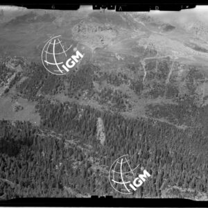 Staz. 26 - Val Malenco: Versante E. Val Toneggio - Località presa: Nord Chiesa Valdiraglio - LN00014517