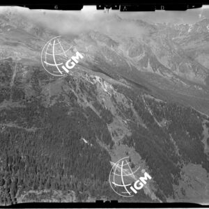Staz. 26 - Val Malenco: Versante E. Val Toneggio - Località presa: Nord Chiesa Valdiraglio - LN00014518