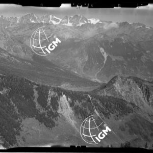 Staz. 26 - Val Malenco: Versante E. Val Toneggio - Località presa: Nord Chiesa Valdiraglio - LN00014519
