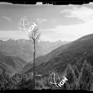 Staz. 27 - Val Malenco: M. Braccia Giumellino - Località presa: Pizzo Castellaccio - LN00014520