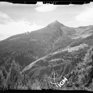 Staz. 27 - Val Malenco: M. Braccia Giumellino - Località presa: Pizzo Castellaccio - LN00014521