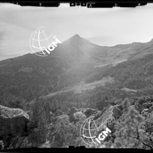 Staz. 27 - Val Malenco: M. Braccia Giumellino - Località presa: Pizzo Castellaccio - LN00014525