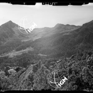 Staz. 27 - Val Malenco: M. Braccia Giumellino - Località presa: Pizzo Castellaccio - LN00014526