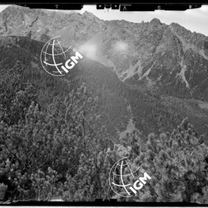 Staz. 27 bis - Val Malenco: Versante O. Val Toneggio - Località presa: Pizzo Castellaccio - LN00014527