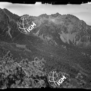 Staz. 27 bis - Val Malenco: Versante O. Val Toneggio - Località presa: Pizzo Castellaccio - LN00014528