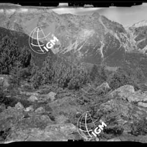 Staz. 27 bis - Val Malenco: Versante O. Val Toneggio - Località presa: Pizzo Castellaccio - LN00014529