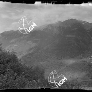 Staz. 31 - Val Malenco: Valtellina - Località presa: Valtellina - LN00014537