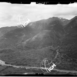 Staz. 31 - Val Malenco: Valtellina - Località presa: Valtellina - LN00014540
