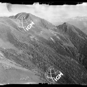 Staz. 31 - Val Malenco: Valtellina - Località presa: Valtellina - LN00014543
