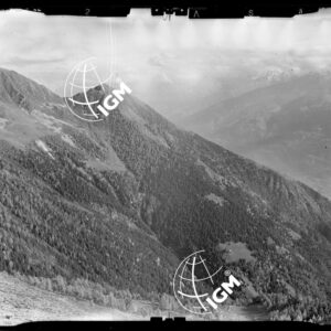 Staz. 31 - Val Malenco: Valtellina - Località presa: Valtellina - LN00014544