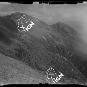 Staz. 31 - Val Malenco: Valtellina - Località presa: Valtellina - LN00014546