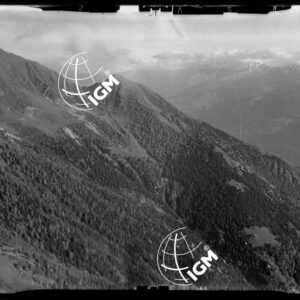 Staz. 31 - Val Malenco: Valtellina - Località presa: Valtellina - LN00014547