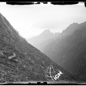 Staz. 5 - Val Malenco: M. Gruf - Località presa: Averta - LN00014574