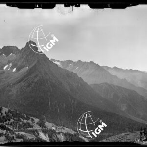 Staz. 6 - Val Camonica: da Cime Tendenny al Badile - Località presa: Pian del Campo - LN00014718