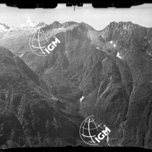 Staz. 8 - Val Camonica: Campetto Fisozzo Colombè - Località presa: Dosso dei Fratici - LN00014722