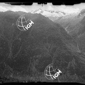 Staz. 8 - Val Camonica: Campetto Fisozzo Colombè - Località presa: Dosso dei Fratici - LN00014724