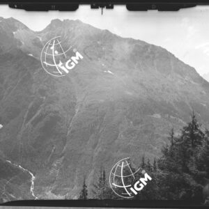 Staz. 8 - Val Camonica: Campetto Fisozzo Colombè - Località presa: Dosso dei Fratici - LN00014726