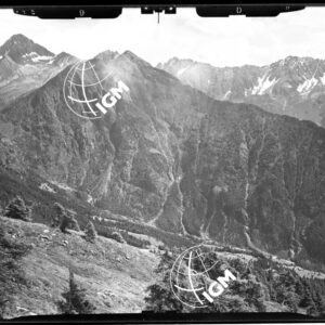Staz. 10 - Val Camonica: dal Boos al Colombè - Località presa: Coc. a S. Pian della Regina - LN00014736