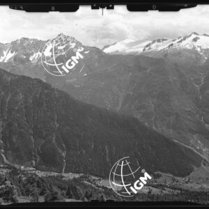 Staz. 10 - Val Camonica: dal Boos al Colombè - Località presa: Coc. a S. Pian della Regina - LN00014737