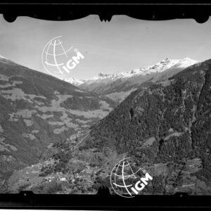 Staz. 1 - Valtellina Grossotto: Monte Storile Forcoletta Cornin - Località presa: Lotto Piodarino - LN00014909