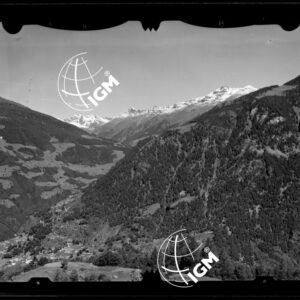 Staz. 1 - Valtellina Grossotto: Monte Storile Forcoletta Cornin - Località presa: Lotto Piodarino - LN00014912