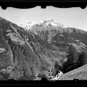 Staz. 1 - Valtellina Grossotto: Monte Storile Forcoletta Cornin - Località presa: Lotto Piodarino - LN00014914