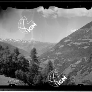 Staz. 3 - Valtellina Grossotto: Monte Storile Forcoletta Cornin - Località presa: Lotto Piodarino - LN00014915