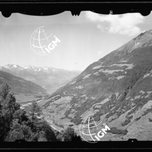 Staz. 3 - Valtellina Grossotto: Monte Storile Forcoletta Cornin - Località presa: Lotto Piodarino - LN00014918