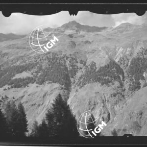 Staz. 9 - Valtellina Grossotto: Sasso Campana - Località presa: Carette - LN00014960