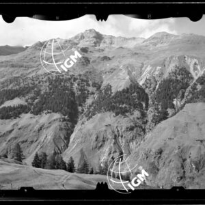 Staz. 9 - Valtellina Grossotto: Sasso Campana - Località presa: Carette - LN00014963