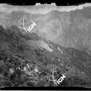 Staz. 2 - Premosello: Monte Pedum - Località presa: Cornio di Niblio - LN00014976