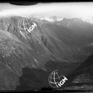 Staz. 11 - Val Camonica - Cima Glera e Cima Rolle - Località presa: Sud Sorgente Rignec - LN00015135