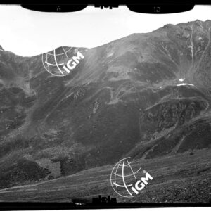 Staz. 12 - Val Camonica - L. Maurone - Località presa: Punta Pietra Raipe - LN00015138