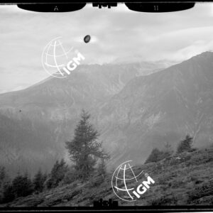 Staz. 11 - Val Camonica - Tremoncelli - Località presa: Sud W. Cima Rovaia - LN00015223
