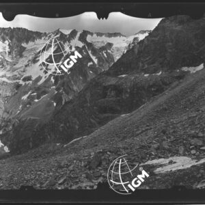 Staz. 23 - Val Camonica: Fianco N. Baitone - Località presa: Fianco N. Baitone - LN00015282