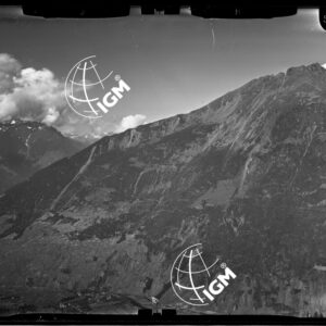 Staz. 3 - Valtellina: Fianco Est Monte Masuccio - Località presa: Alpe di Tavello - LN00015326