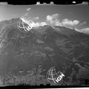 Staz. 3 - Valtellina: Fianco Est Monte Masuccio - Località presa: Alpe di Tavello - LN00015327