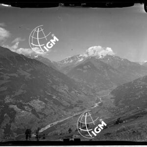 Staz. 3 - Valtellina: Fianco Est Monte Masuccio - Località presa: Alpe di Tavello - LN00015328